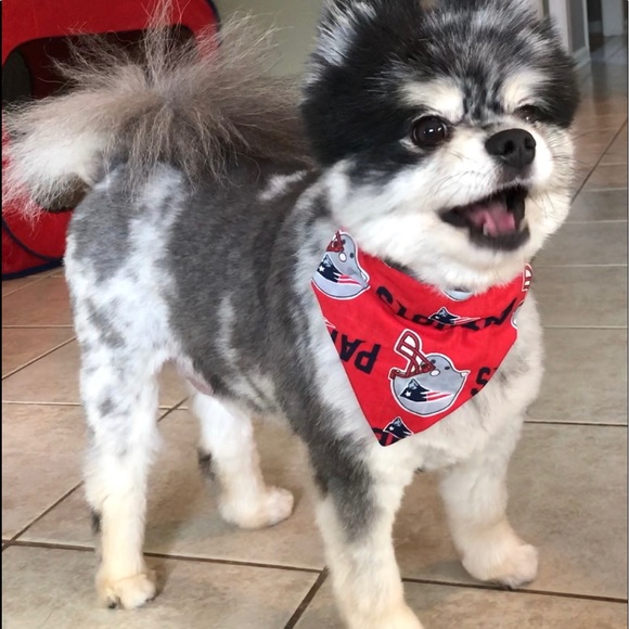 Meet your Posher, Laurie - Picture 9 of 15